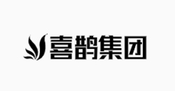 喜鹊集团-深圳独立站TOP大卖